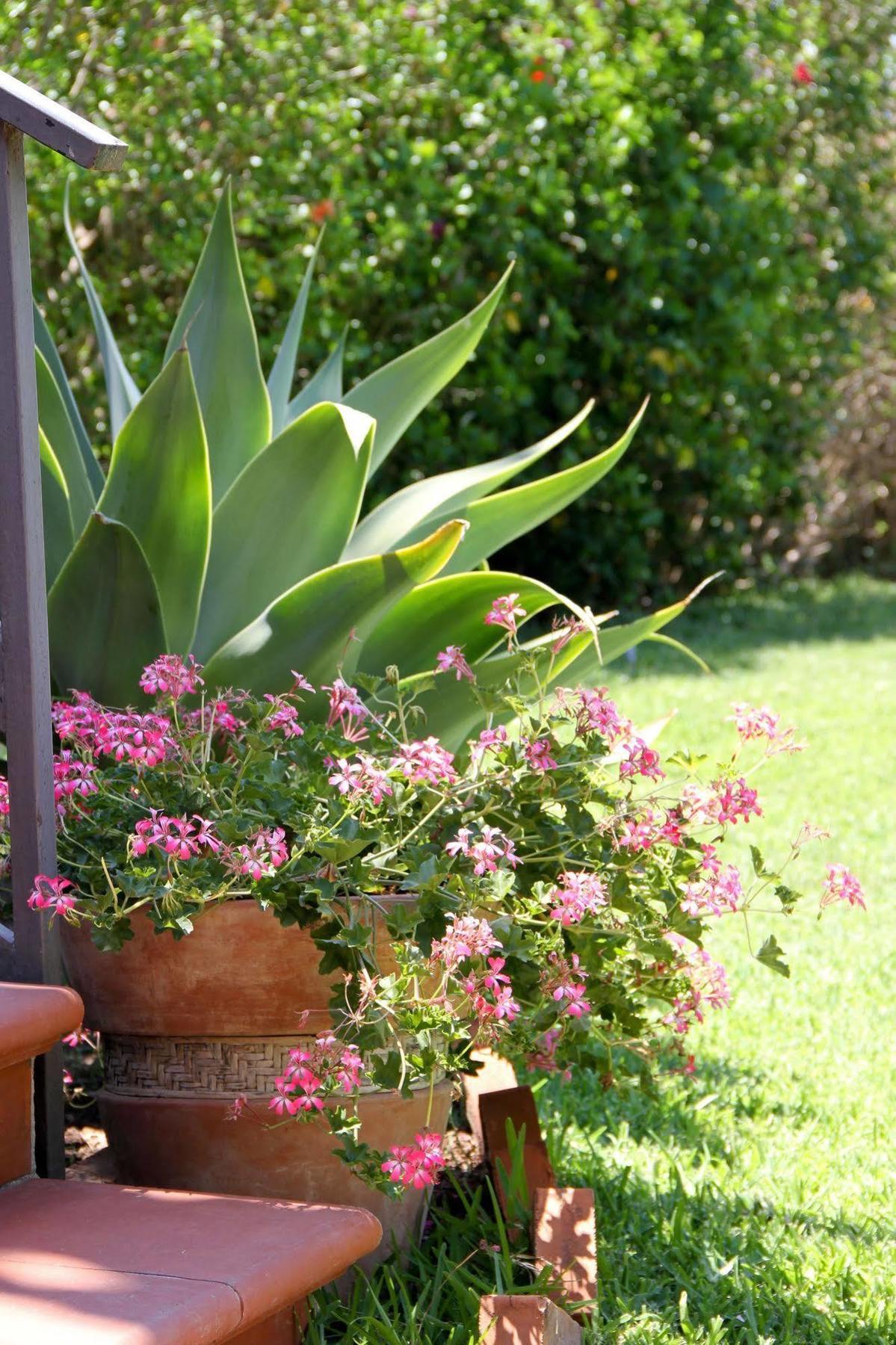 Apartamento Sweet & Fontane Bianche